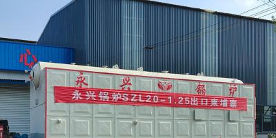 永兴锅炉的生物质锅炉允许使用吗？